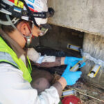 「次の地震」備える投資拡大ショーボンド合弁に引き合い急増