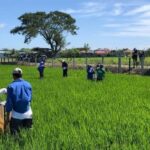 兼松、比でＪＣＭクレジットグリーンカーボンと26年事業化へ