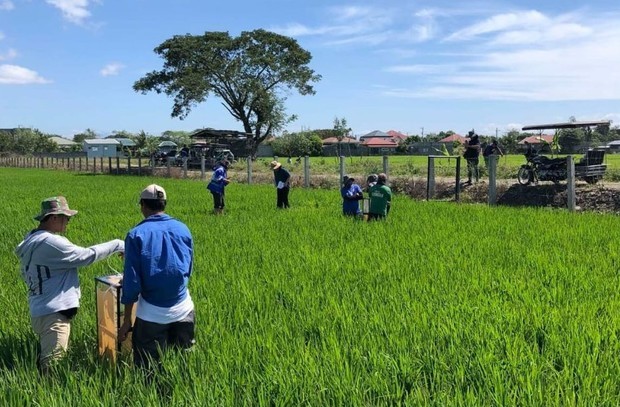 兼松、比でＪＣＭクレジットグリーンカーボンと26年事業化へ