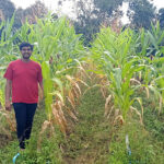 【89％プロジェクト】微生物の力、気候変動に対峙エンジニア出身農家が肥料改革