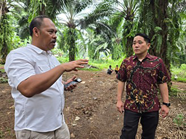 宇宙企業、パーム産業支援へ衛星×地上データで生産改革